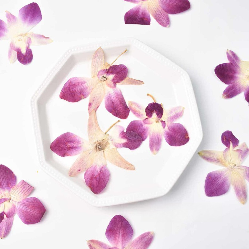 Resin Craft Ideas - 4 шт., Настоящие прессованные цветы орхидеи-бабочки